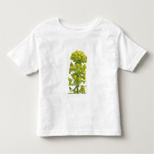 T-shirt Pour Les Tous Petits Euphorbe