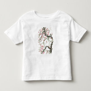 T-shirt Pour Les Tous Petits Fleur de pêche (couleur sur le papier)
