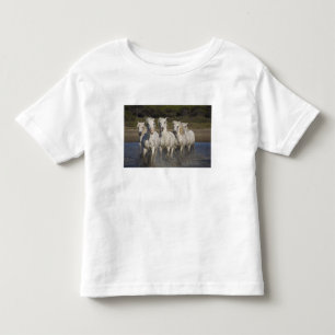 T-shirt Pour Les Tous Petits France, Camargue. Les chevaux courent