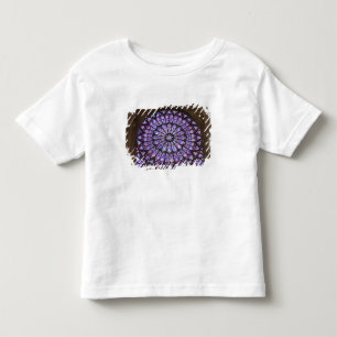 T-shirt Pour Les Tous Petits France, Paris. Détail intérieur d'un vitrail
