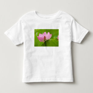 T-shirt Pour Les Tous Petits Franklin NC, Perry's Water Garden, Lotus