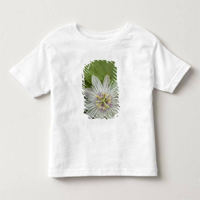 T-shirt Pour Les Tous Petits Galapagos Passiflora foetida (Devant)