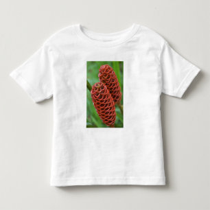 T-shirt Pour Les Tous Petits Gingembre rucher, Zingiber spectabile),