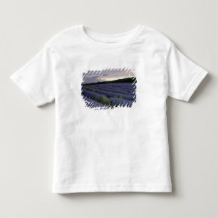 T-shirt Pour Les Tous Petits Gisement de lavande au coucher du soleil