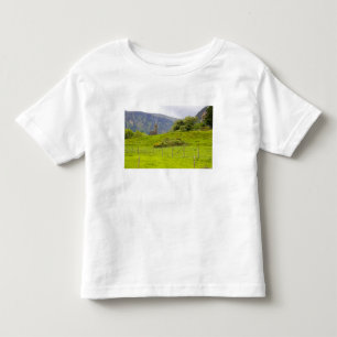 T-shirt Pour Les Tous Petits Glendalough, Irlande. Glendalough est l'un des