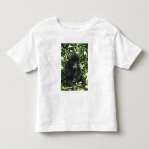T-shirt Pour Les Tous Petits Gorille des montagnes, (Gorilla gorilla beringei),