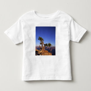 T-shirt Pour Les Tous Petits Grand Canyon, Arizona, États-Unis