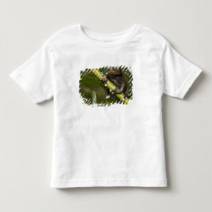 T-shirt Pour Les Tous Petits Grenouille arboricole captive de Tapichalaca Hylos