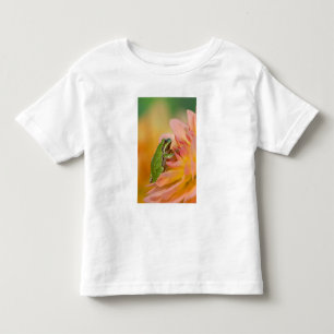 T-shirt Pour Les Tous Petits Grenouille du Pacifique sur les fleurs dans notre 