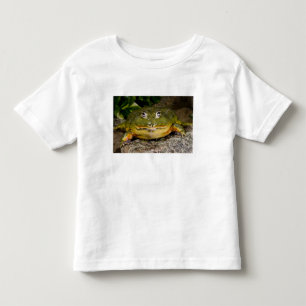 T-shirt Pour Les Tous Petits Grenouille-taureau africaine, Pyxicephalus