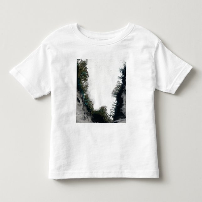 T-shirt Pour Les Tous Petits Groenland du Sud (Devant)