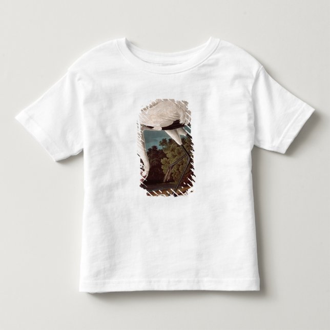 T-shirt Pour Les Tous Petits Grue de huée, des 'oiseaux d'America (Devant)
