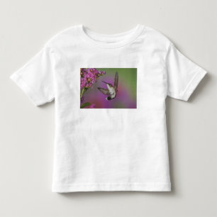 T-shirt Pour Les Tous Petits Homme juvénile Ruby Throsé Hummingbird