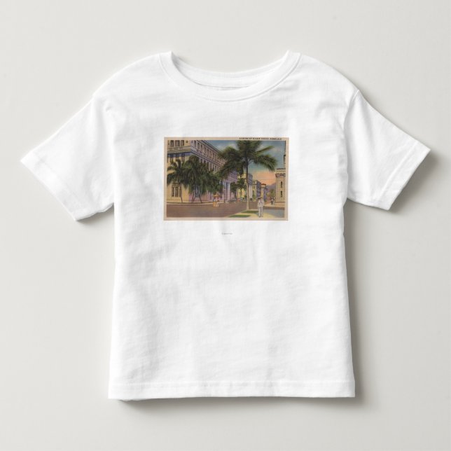 T-shirt Pour Les Tous Petits Honolulu, HIView d'évêque St.Honolulu, HI (Devant)