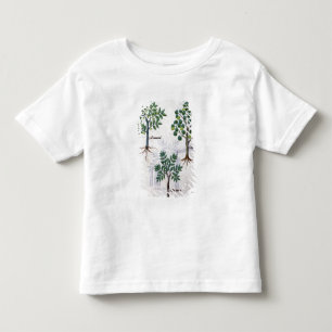 T-shirt Pour Les Tous Petits Illustration du 'livre des médecines simples