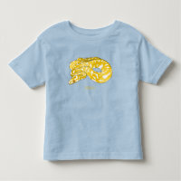 Illustration du serpent python birman