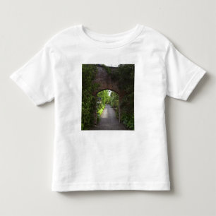 T-shirt Pour Les Tous Petits Irlande, le château de Dromoland très vert
