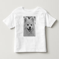Joli Spitz japonais