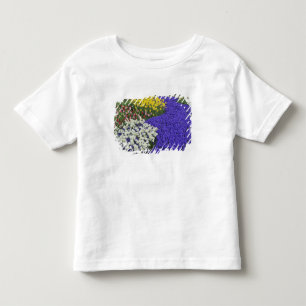 T-shirt Pour Les Tous Petits Jonquilles et Muscaris, Keukenhof 2