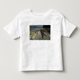 T-shirt Pour Les Tous Petits Kayaks sur l'île Dicebox, Broken Island Group,