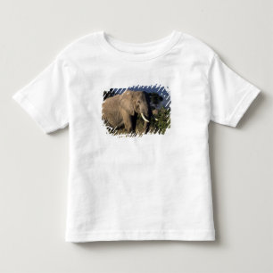 T-shirt Pour Les Tous Petits Kenya : Amboseli, éléphant d'Afrique mâle