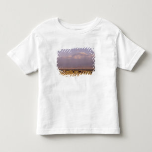 T-shirt Pour Les Tous Petits Kenya : Parc national d'Amboseli, Eléphants
