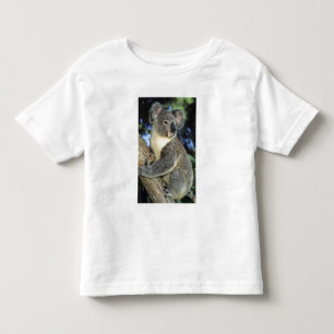 T-shirt Pour Les Tous Petits Koala, Phascolarctos cinereus), Australie,