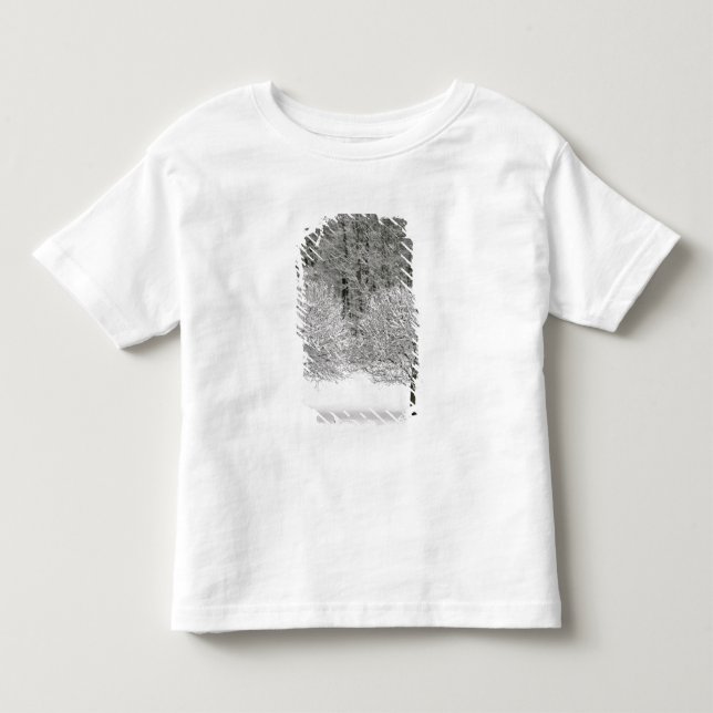 T-shirt Pour Les Tous Petits La neige a couvert le paysage (Devant)