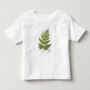 T-shirt Pour Les Tous Petits Large fougère de bouclier Épineux-dentée, peinte