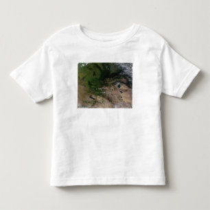 T-shirt Pour Les Tous Petits Le changement de la végétation