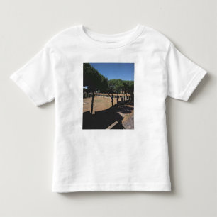 T-shirt Pour Les Tous Petits Le grand Palaestra