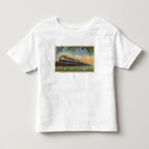 T-shirt Pour Les Tous Petits Le train de chemin de fer d'oiseau de ronflement