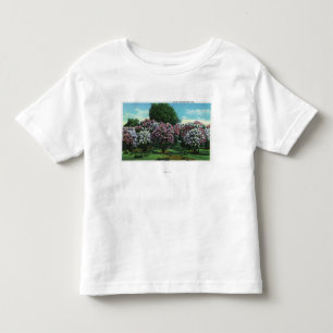 T-shirt Pour Les Tous Petits Lilas de Highland Park en fleur