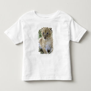 T-shirt Pour Les Tous Petits lion d'Afrique, Panthera leo), Tanzanie,