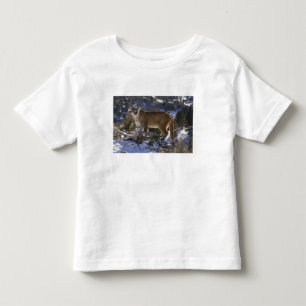 T-shirt Pour Les Tous Petits Lion de montagne