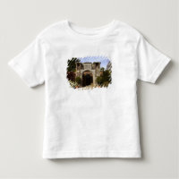 L'Irlande, le Dromoland Castle Walled Garden