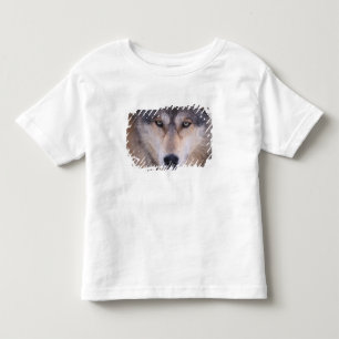 T-shirt Pour Les Tous Petits loup gris, Canis lupus, gros plan sur les yeux