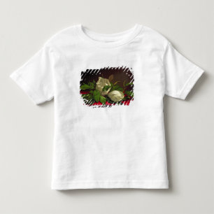 T-shirt Pour Les Tous Petits Magnolia