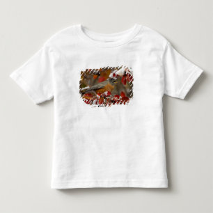 T-shirt Pour Les Tous Petits Merle américain mâle dans l'aubépine noire