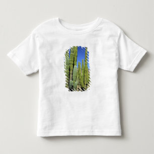 T-shirt Pour Les Tous Petits Mexique, Sonora, San Carlos. Saguaro et orgue