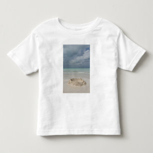 T-shirt Pour Les Tous Petits Mexique, Yucatan, île d'Isla Mujeres
