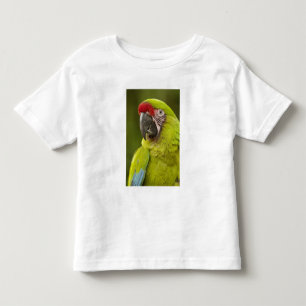 T-shirt Pour Les Tous Petits Militaire Macaw