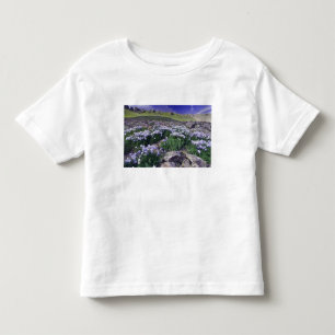 T-shirt Pour Les Tous Petits Montagnes et fleurs sauvages dans un pré alpin,