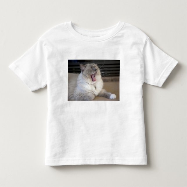 T-shirt Pour Les Tous Petits Neva Masquerade chat bâillonnant (Devant)