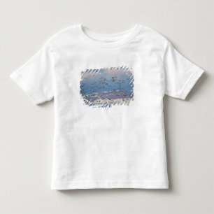 T-shirt Pour Les Tous Petits Oies des neiges en migration printanière