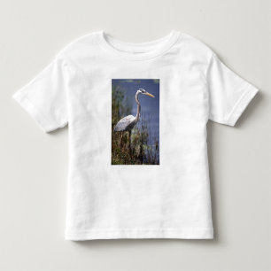T-shirt Pour Les Tous Petits Oiseau du Grand Héron bleu