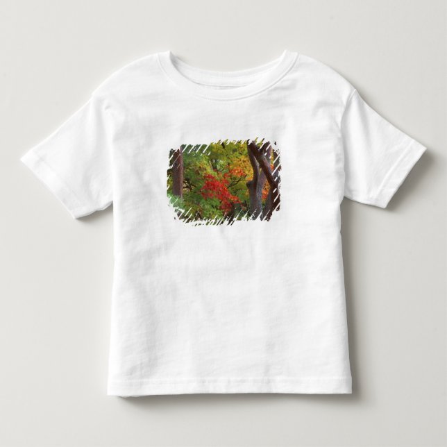 T-shirt Pour Les Tous Petits Okochi Sanso, Arashiyama, Kyoto, Japon 5 (Devant)