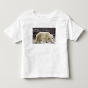 T-shirt Pour Les Tous Petits Ours polaire Ursus maritimus) à Churchill