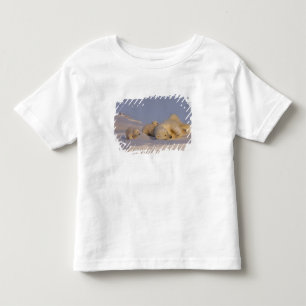T-shirt Pour Les Tous Petits ours polaire, Ursus maritimus, femelle jouant