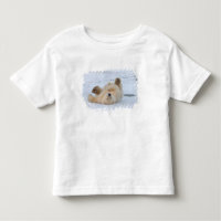 ours polaire, Ursus maritimus, ourson roulant 3